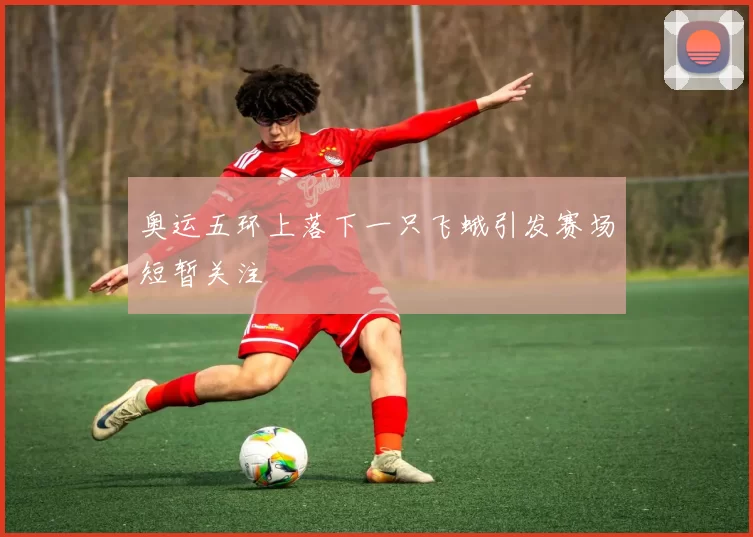 奥运五环上落下一只飞蛾引发赛场短暂关注