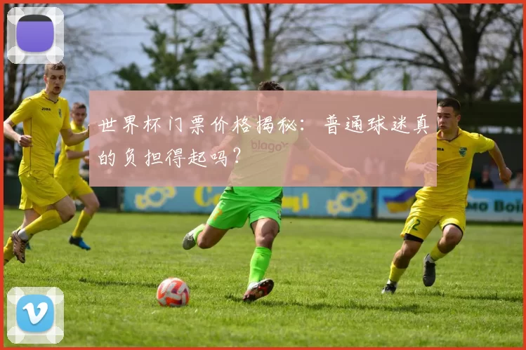 世界杯门票价格揭秘：普通球迷真的负担得起吗？