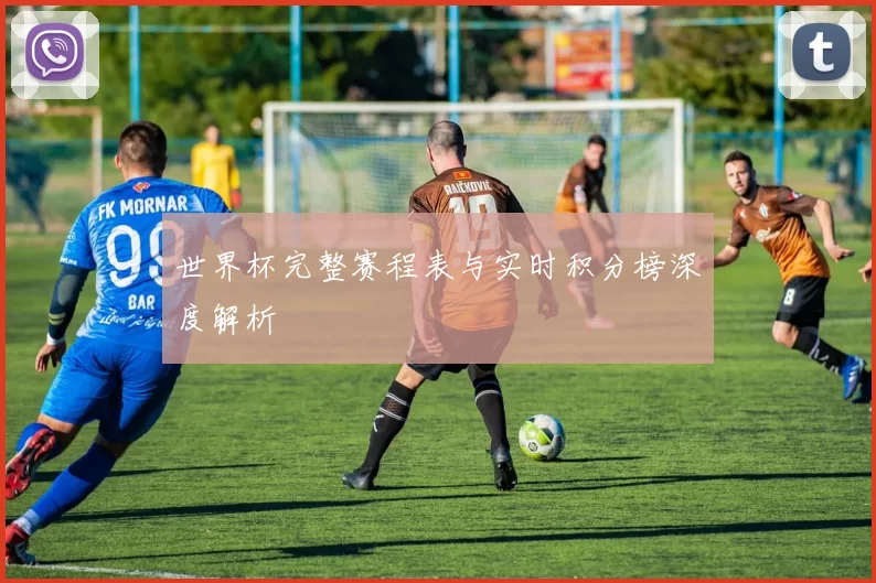 世界杯完整赛程表与实时积分榜深度解析