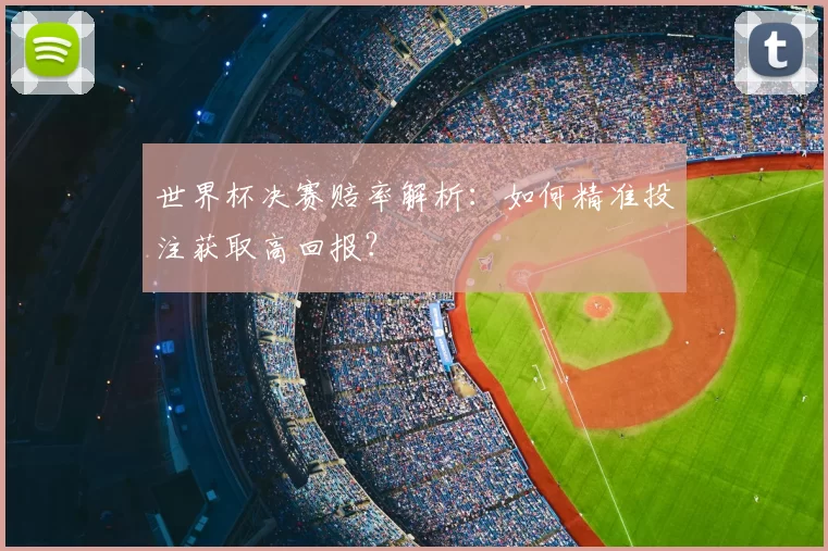 世界杯决赛赔率解析:如何精准投注获取高回报?