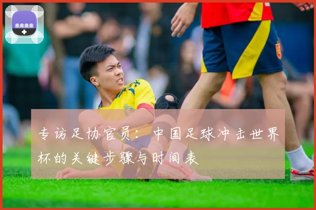 专访足协官员:中国足球冲击世界杯的关键步骤与时间表