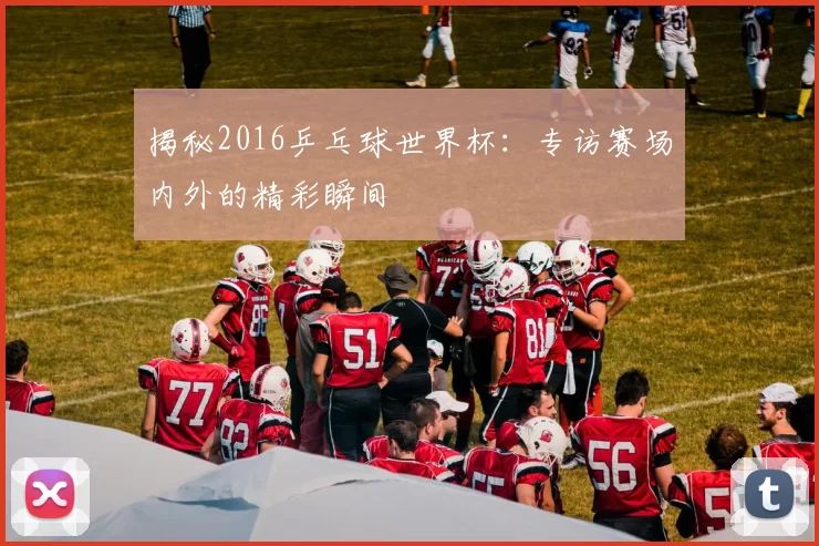 揭秘2016乒乓球世界杯：专访赛场内外的精彩瞬间
