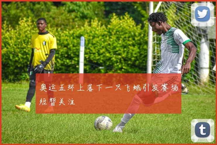 奥运五环上落下一只飞蛾引发赛场短暂关注