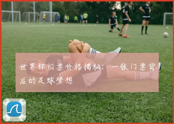 世界杯门票价格揭秘:一张门票背后的足球梦想