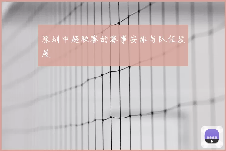 深圳中超联赛的赛事安排与队伍发展
