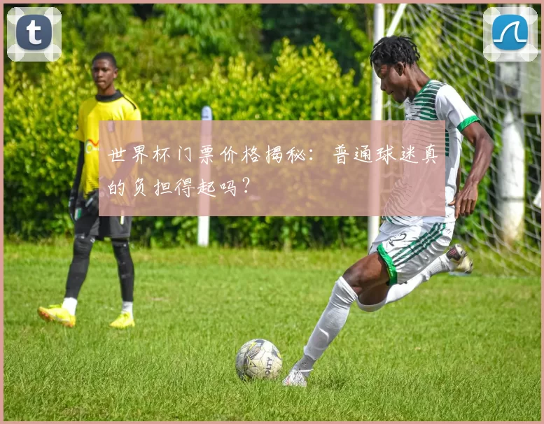 世界杯门票价格揭秘:普通球迷真的负担得起吗?
