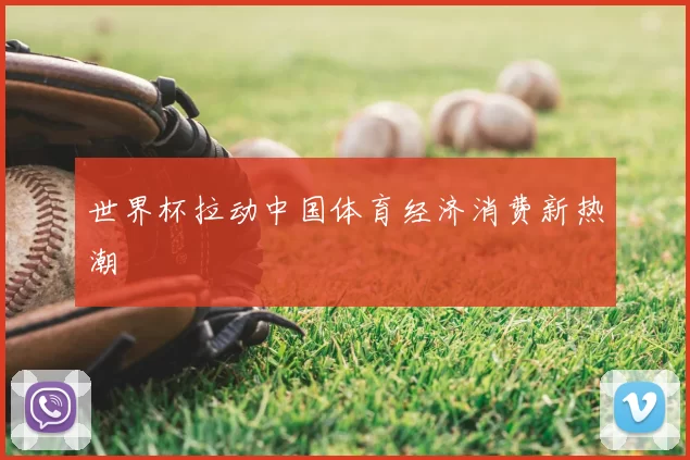 世界杯拉动中国体育经济消费新热潮
