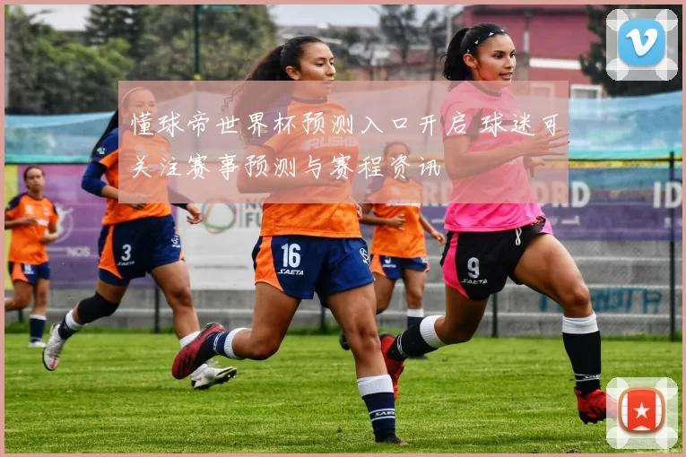 懂球帝世界杯预测入口开启 球迷可关注赛事预测与赛程资讯