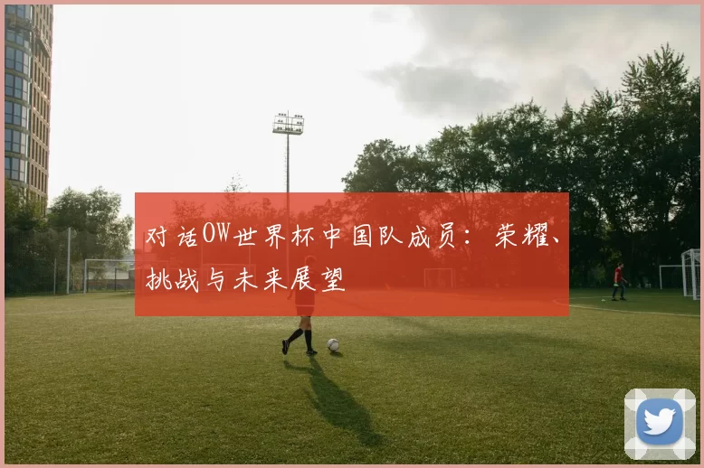对话OW世界杯中国队成员:荣耀、挑战与未来展望