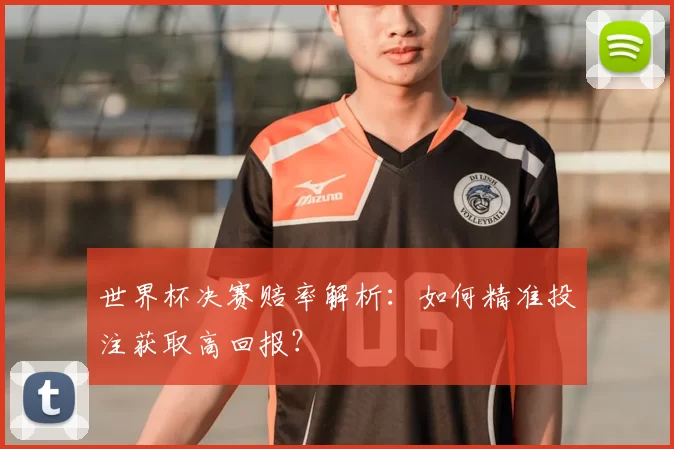 世界杯决赛赔率解析:如何精准投注获取高回报?
