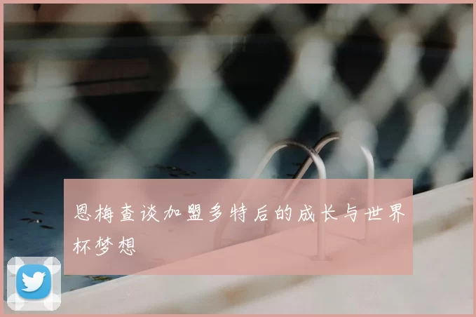 恩梅查谈加盟多特后的成长与世界杯梦想