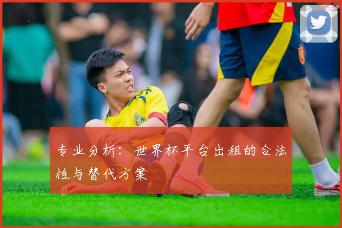 专业分析：世界杯平台出租的合法性与替代方案